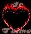 pour amour ??ou pour amitier??